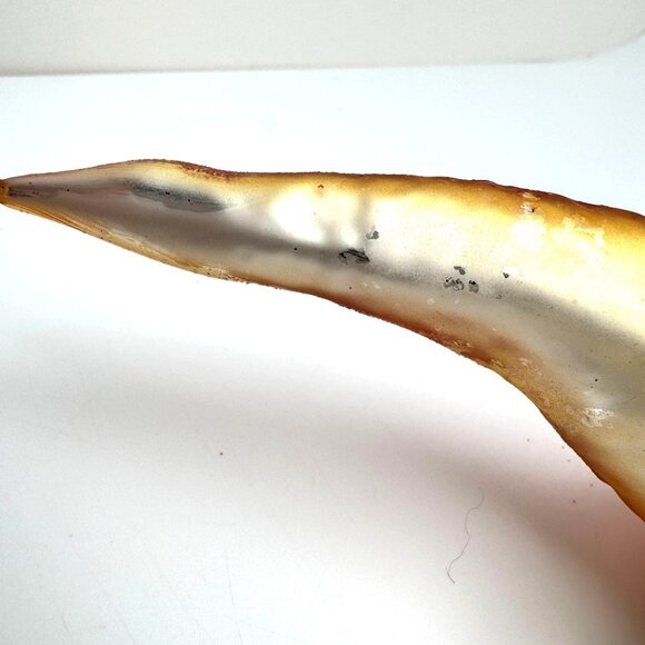 Robert Stanley Home Collection Dinosaur Christmas Ornament 3.25" x 6.625" - Picture 7 of 8